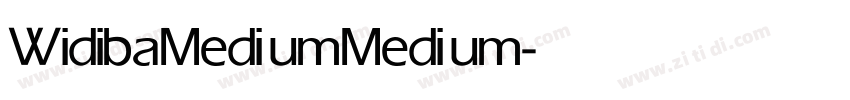 Widiba Medium Medium字体转换